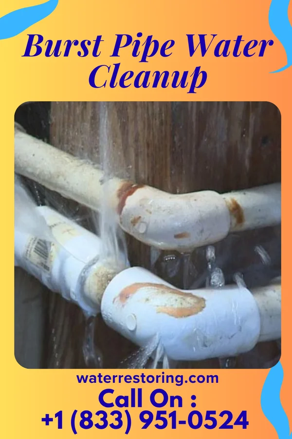 Burst Pipe Water Cleanup in Leamersville, PA