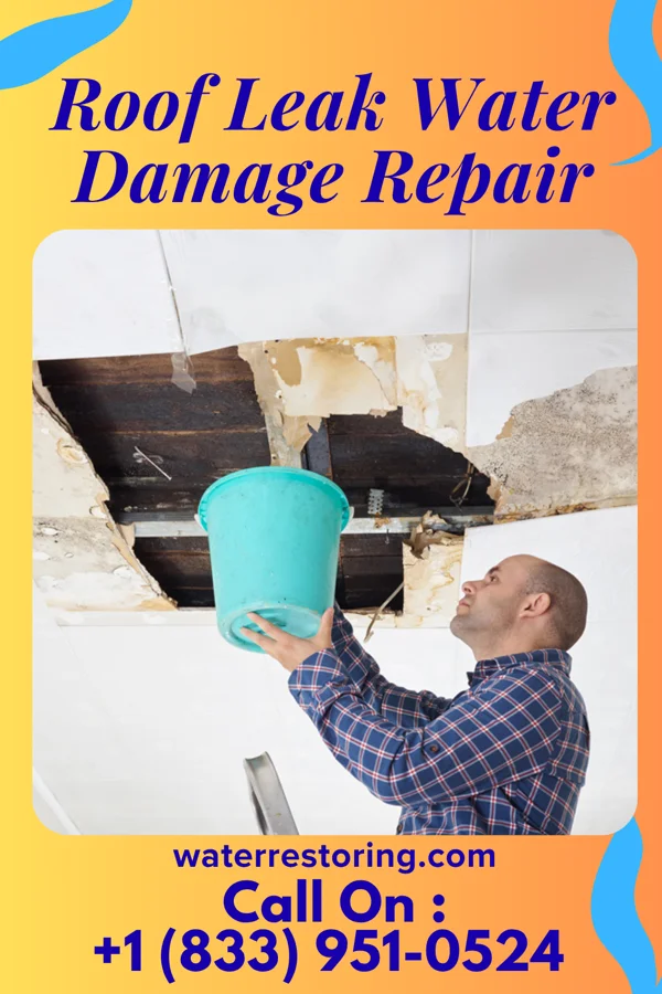 Roof Leak Water Damage Repair in Leamersville, PA