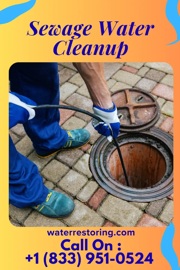 Sewage Water Cleanup in Leamersville, PA