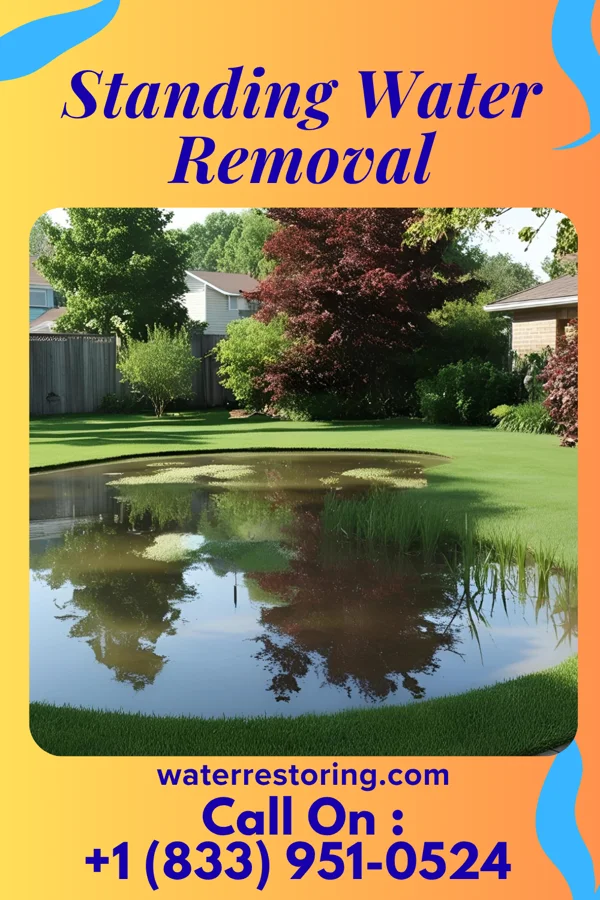 Standing Water Removal in Leamersville, PA